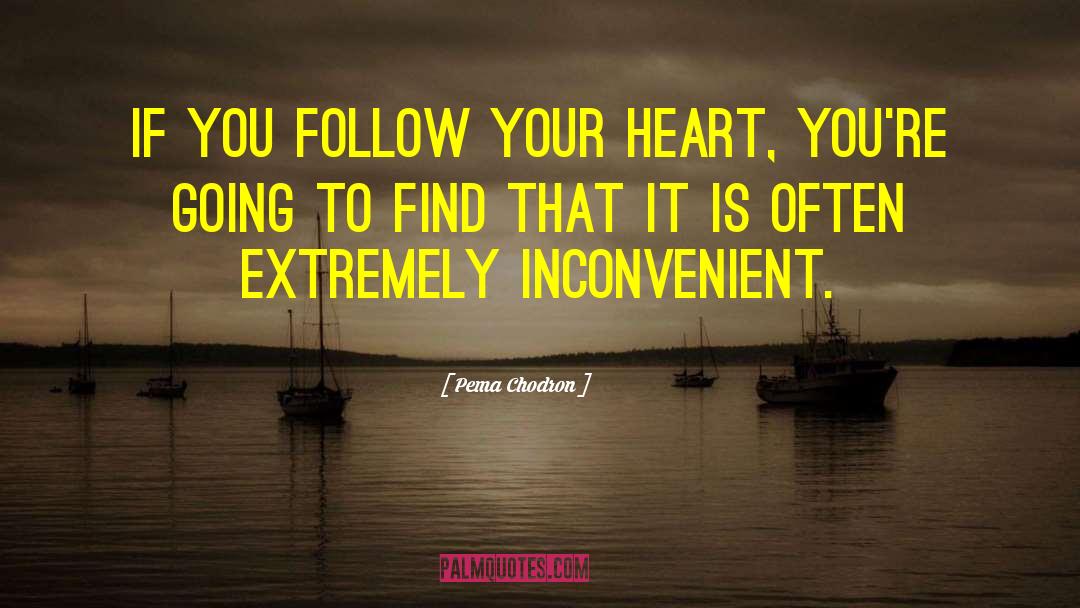 Follow Your Heart quotes by Pema Chodron