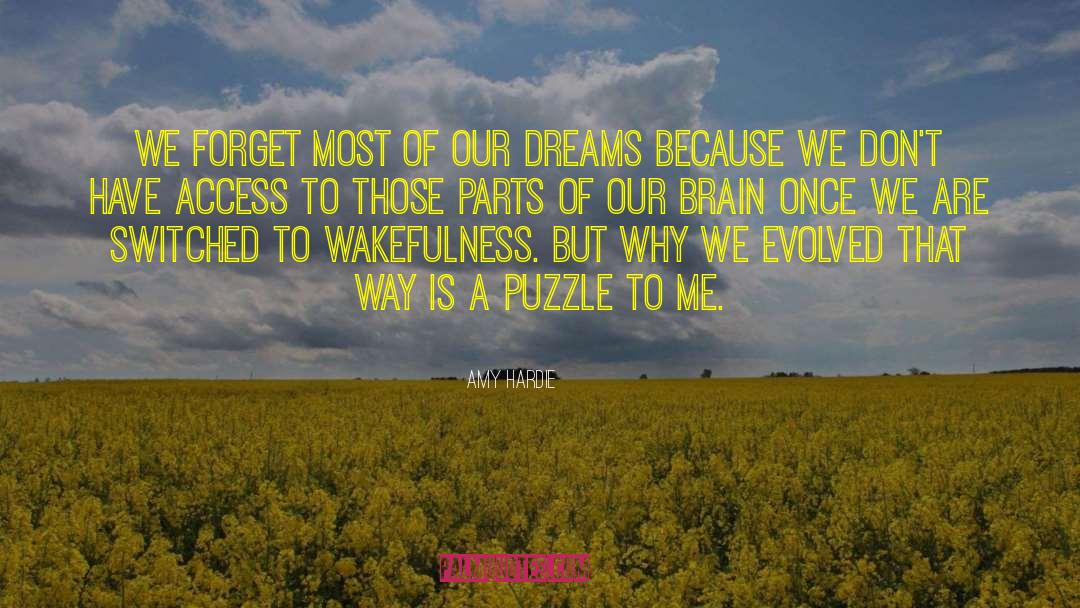 Following Dreams quotes by Amy Hardie