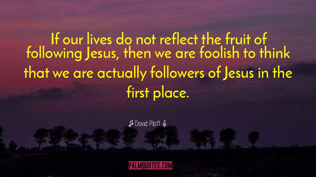 Following Jesus quotes by David Platt