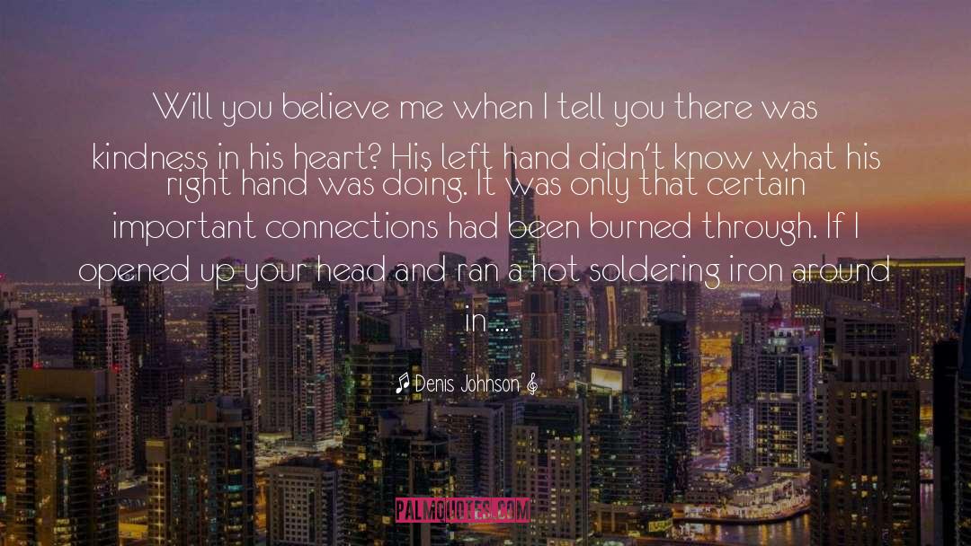 Following Your Heart quotes by Denis Johnson