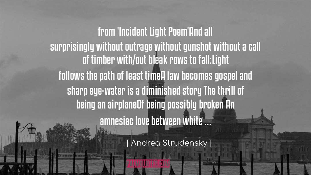 Follows quotes by Andrea Strudensky