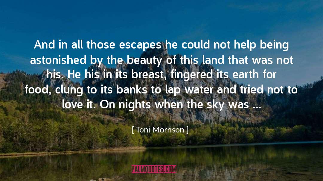 Food And Beauty quotes by Toni Morrison