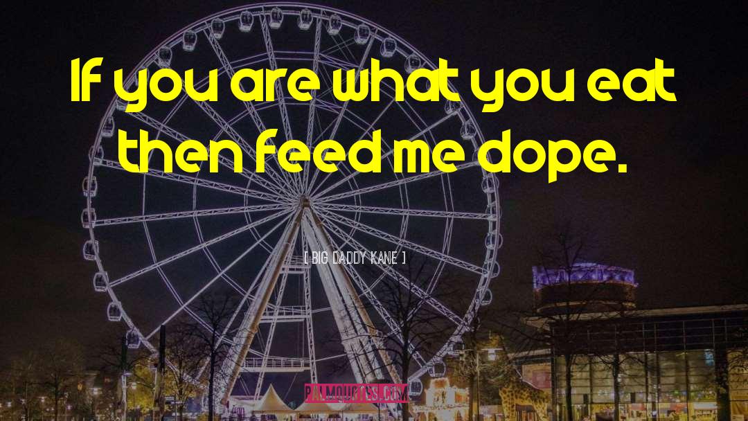 Food Blogger Romance quotes by Big Daddy Kane