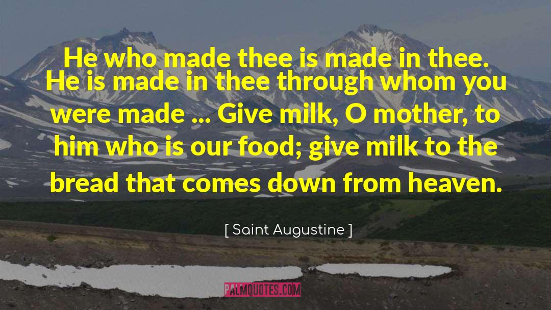 Food Blogs quotes by Saint Augustine