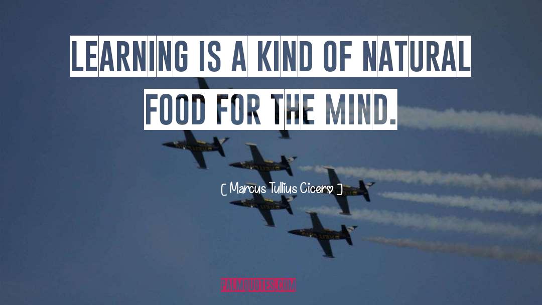Food For The Mind quotes by Marcus Tullius Cicero