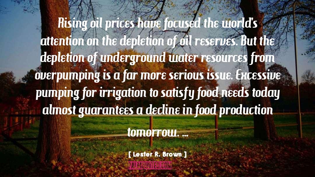 Food For Thoughts quotes by Lester R. Brown