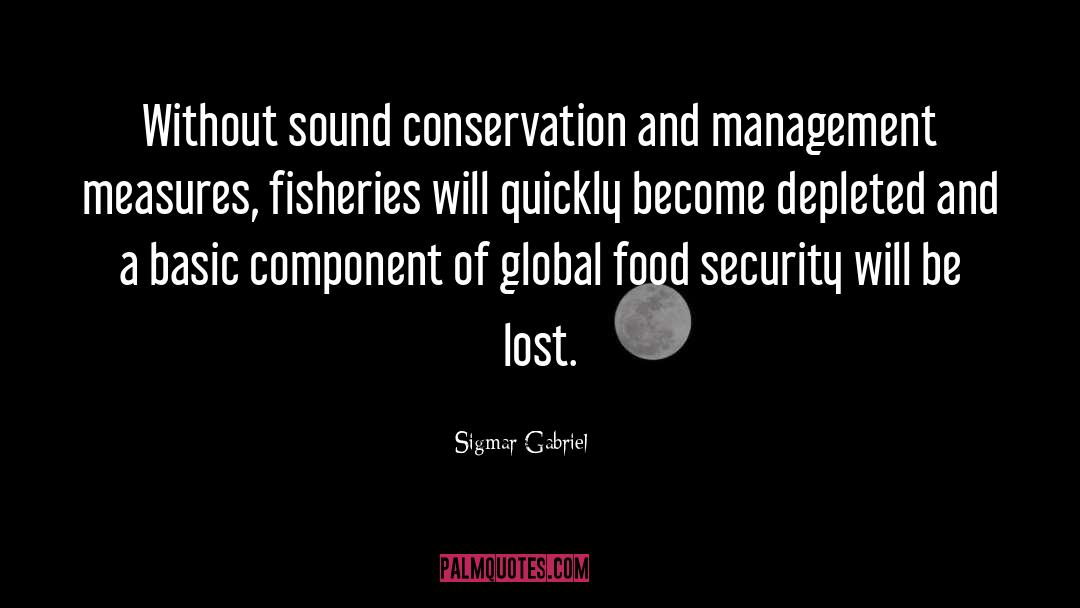 Food Security quotes by Sigmar Gabriel