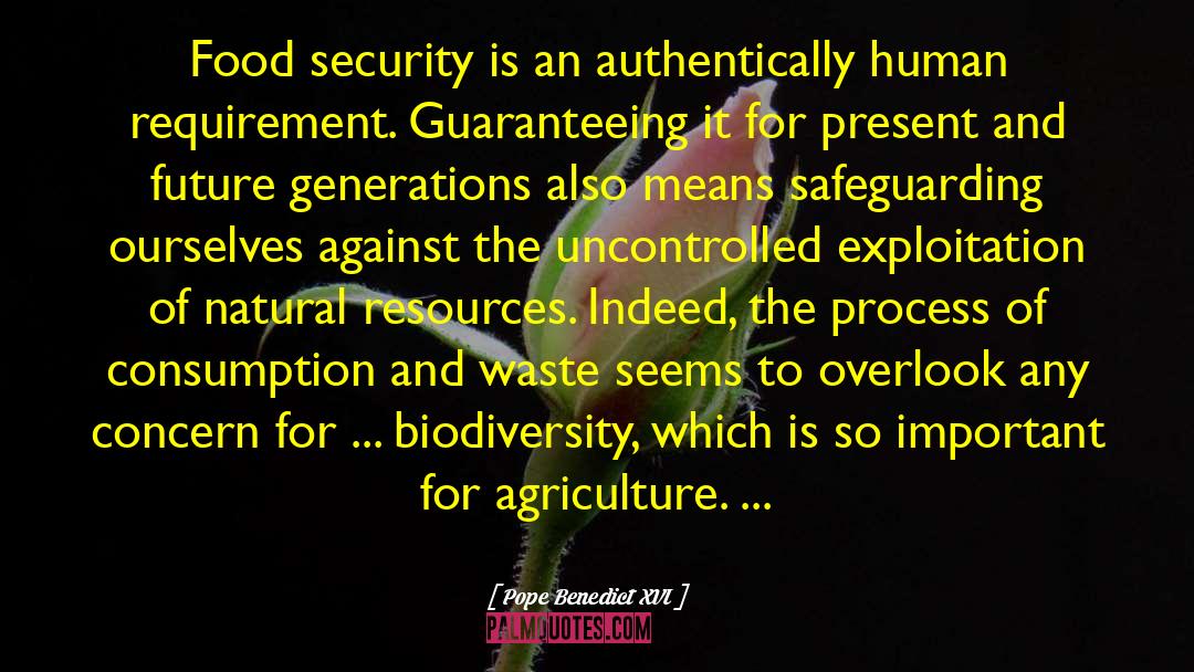 Food Security quotes by Pope Benedict XVI