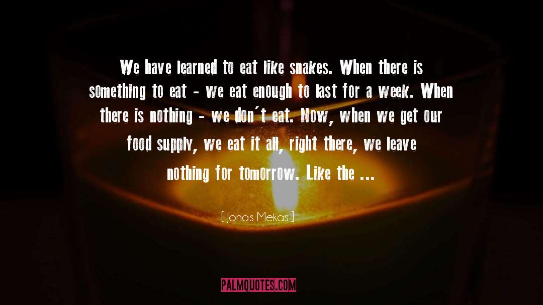 Food Supply quotes by Jonas Mekas