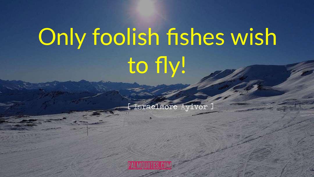 Fool Foolish quotes by Israelmore Ayivor