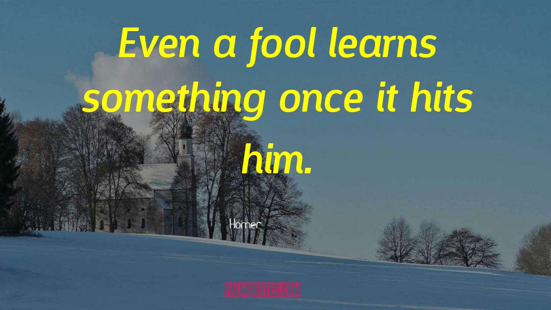 Fool Me Once quotes by Homer