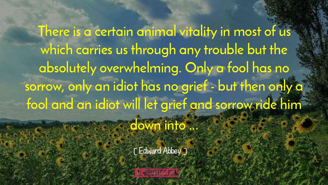 Fool Me quotes by Edward Abbey