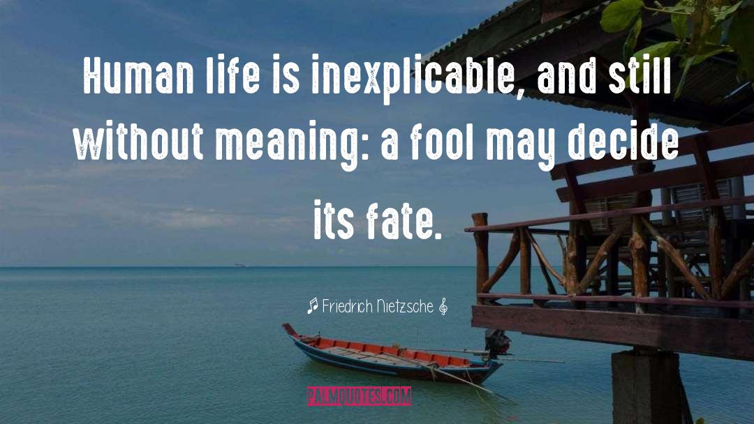 Fool quotes by Friedrich Nietzsche