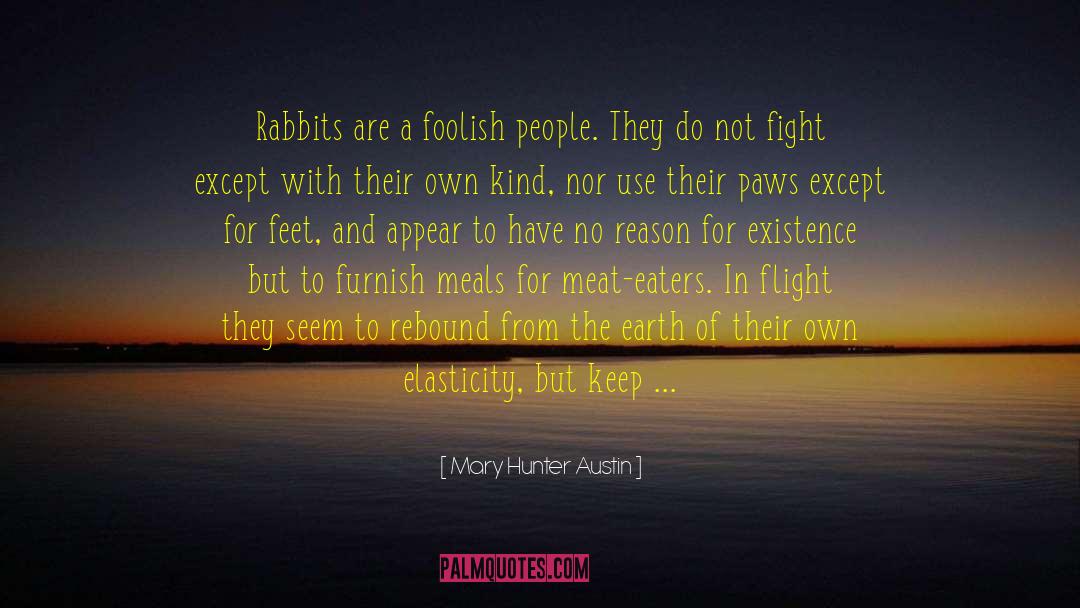Foolish People quotes by Mary Hunter Austin