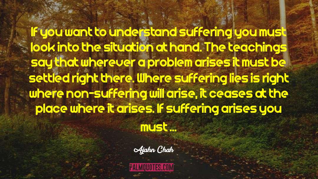 Foolish Person quotes by Ajahn Chah