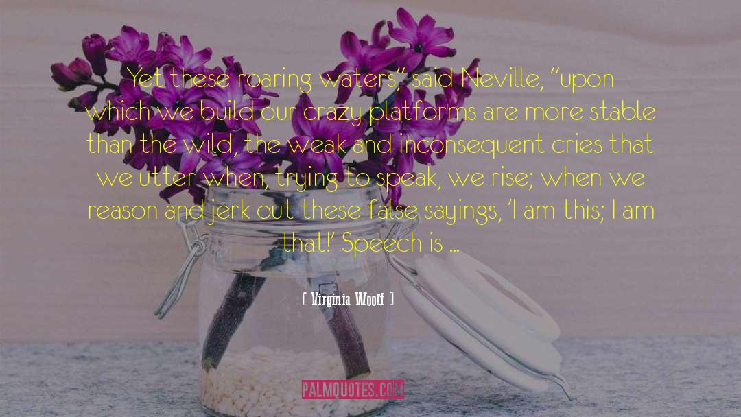 Foolish Speech quotes by Virginia Woolf
