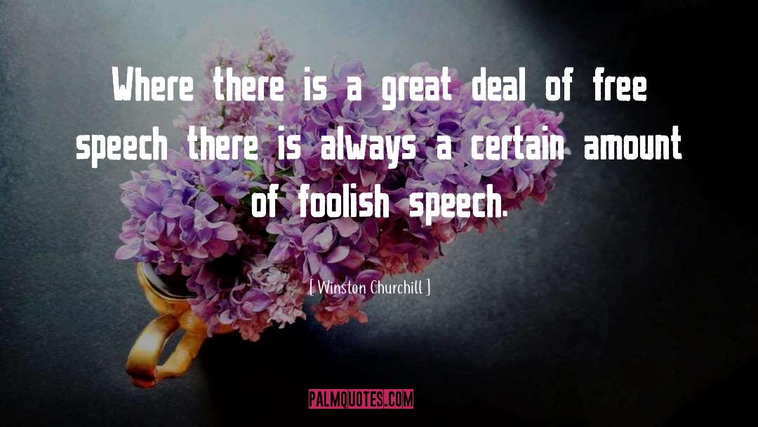 Foolish Speech quotes by Winston Churchill