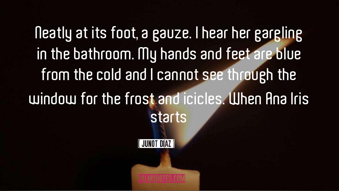 Foot quotes by Junot Diaz