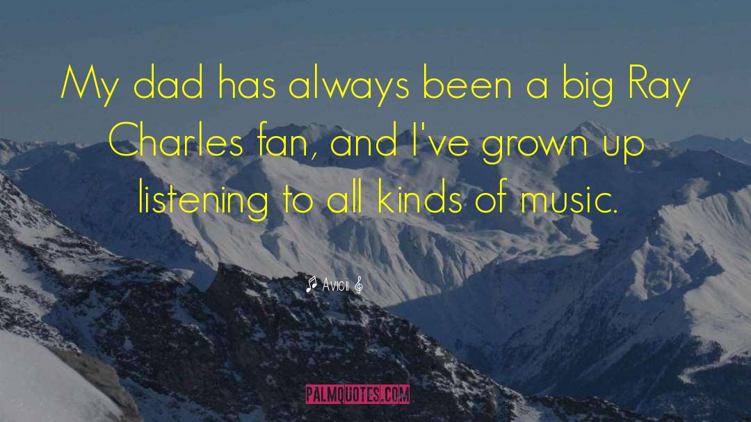 Football Fan quotes by Avicii