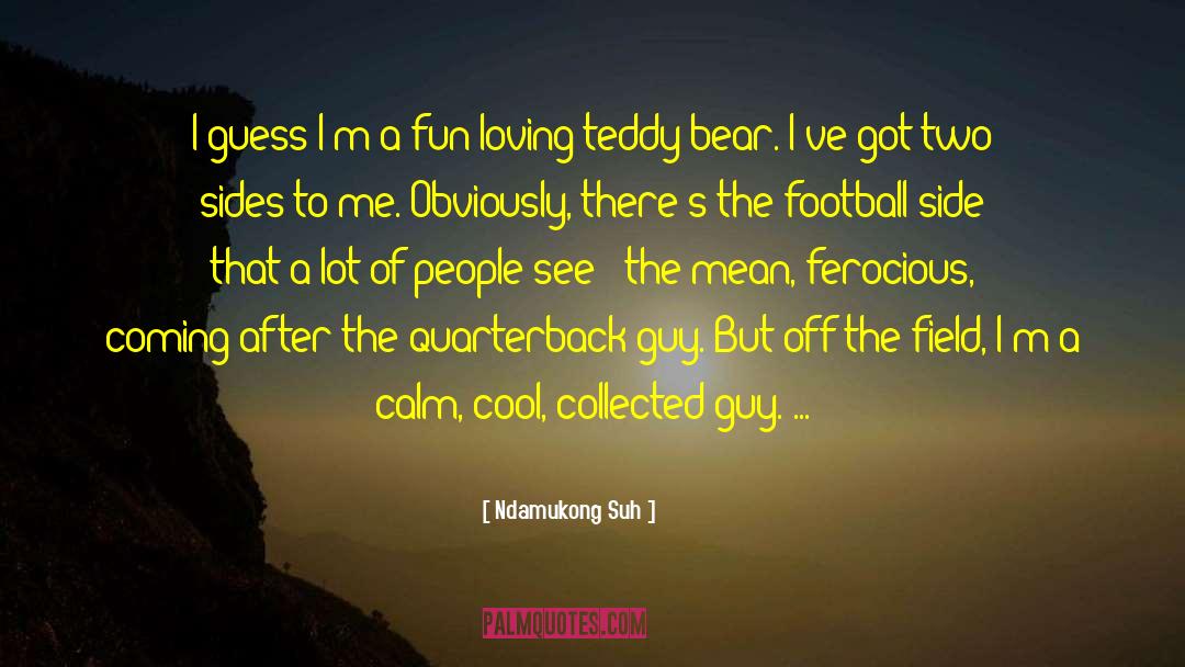 Football Fan quotes by Ndamukong Suh