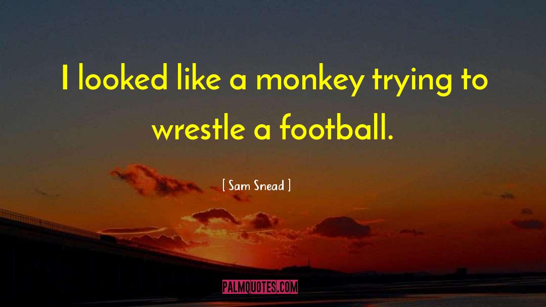 Football Leadership quotes by Sam Snead