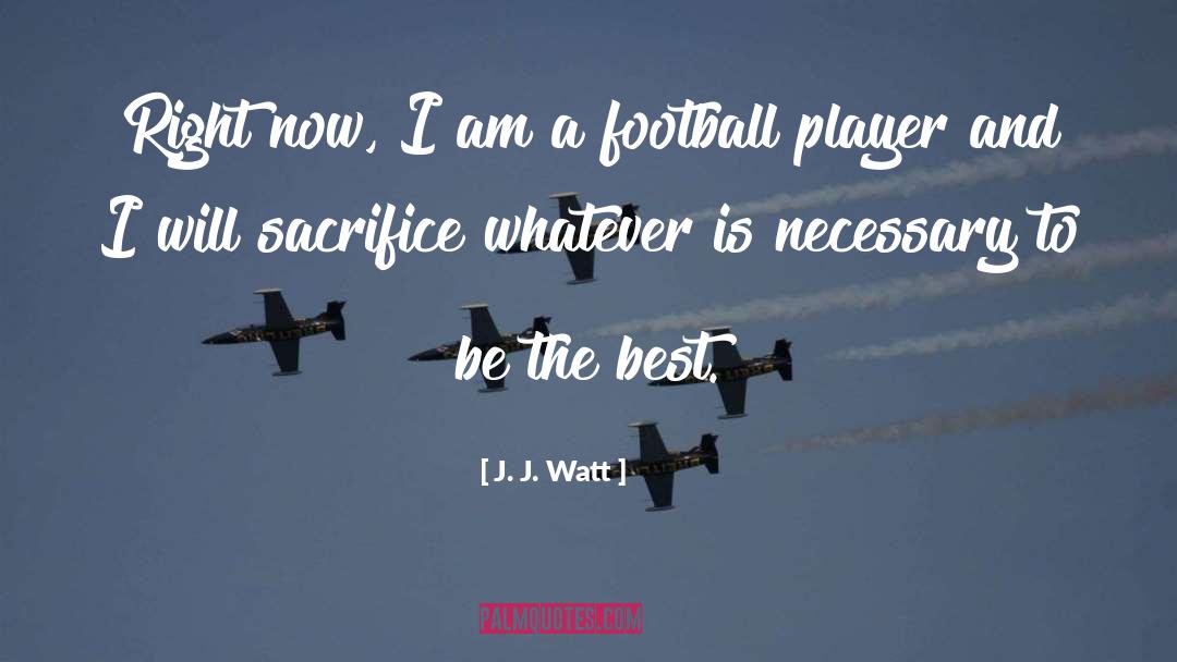 Football Player quotes by J. J. Watt