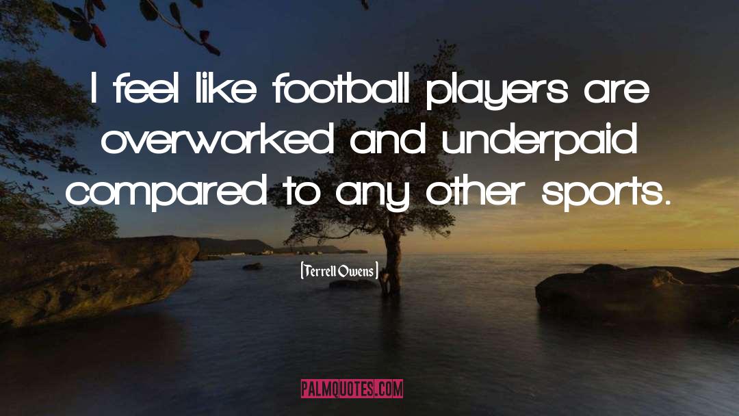 Football Players Sad quotes by Terrell Owens
