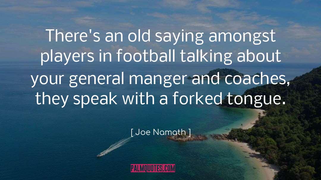 Football Players Sad quotes by Joe Namath