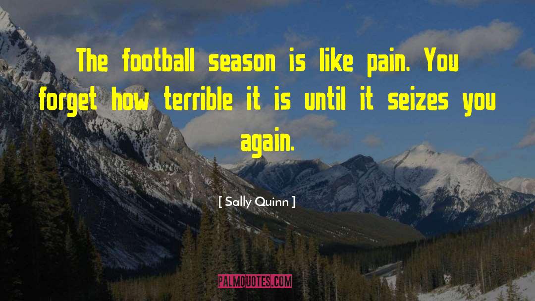 Football Season quotes by Sally Quinn