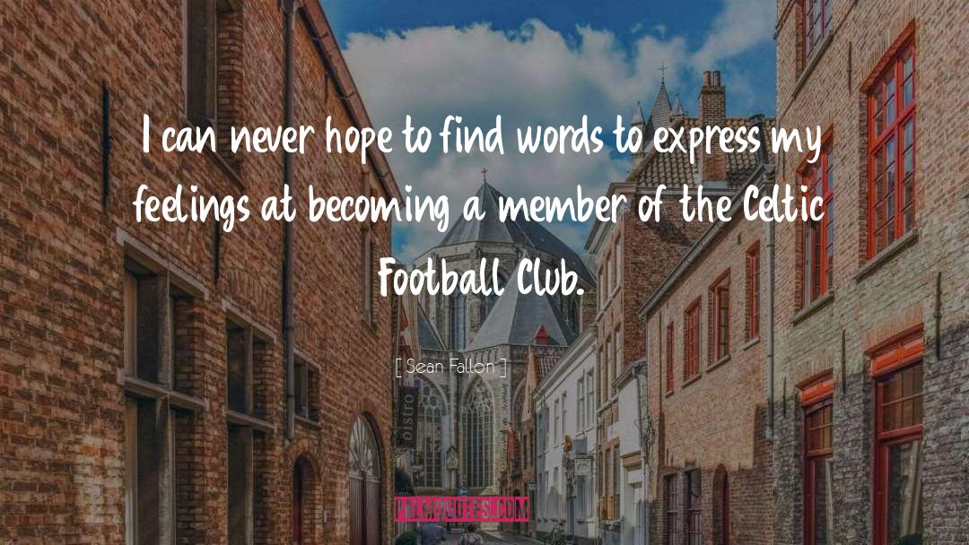 Football Stadiums quotes by Sean Fallon