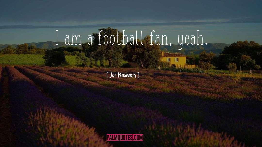 Football Stadiums quotes by Joe Namath