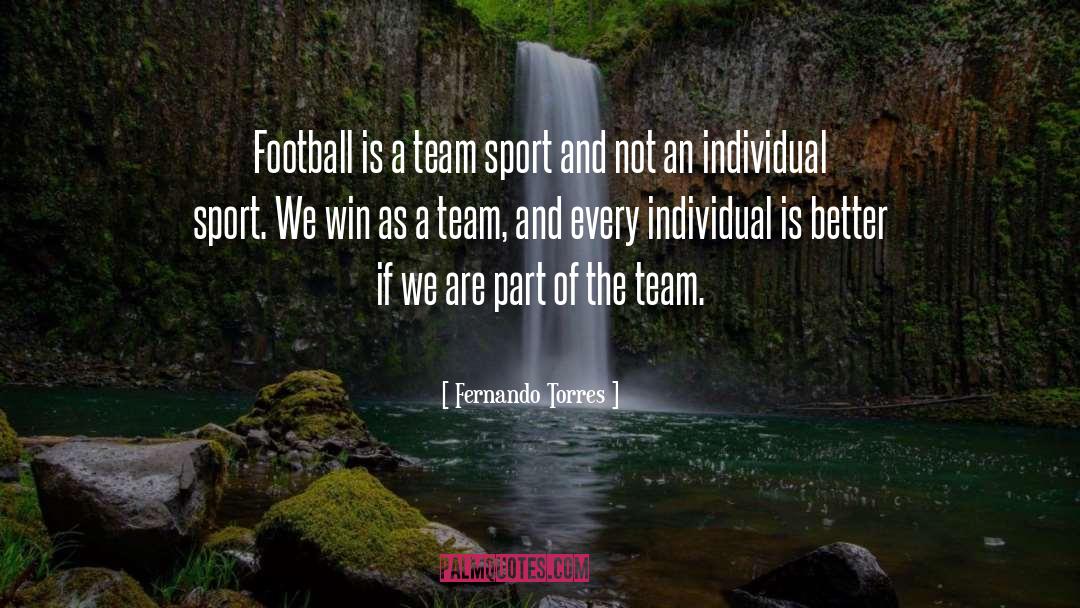 Football Team quotes by Fernando Torres