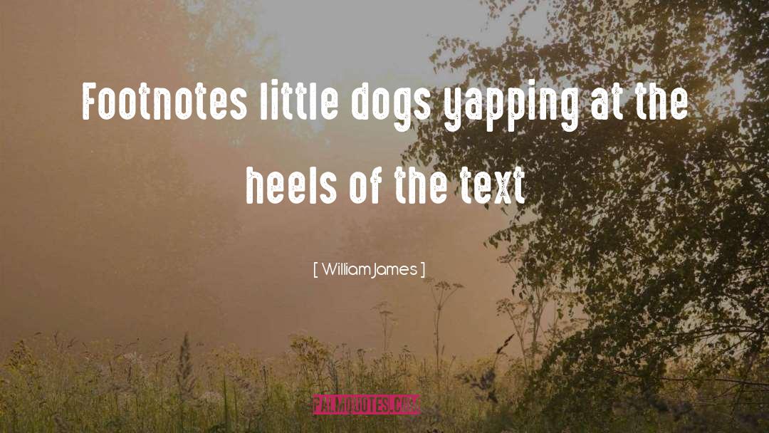 Footnotes quotes by William James