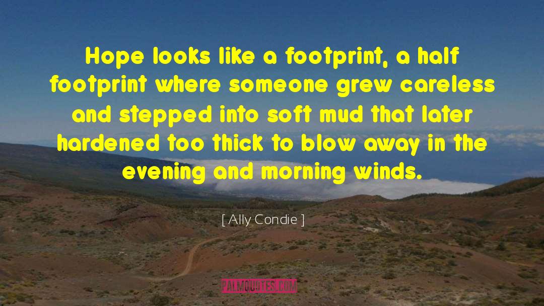 Footprint quotes by Ally Condie