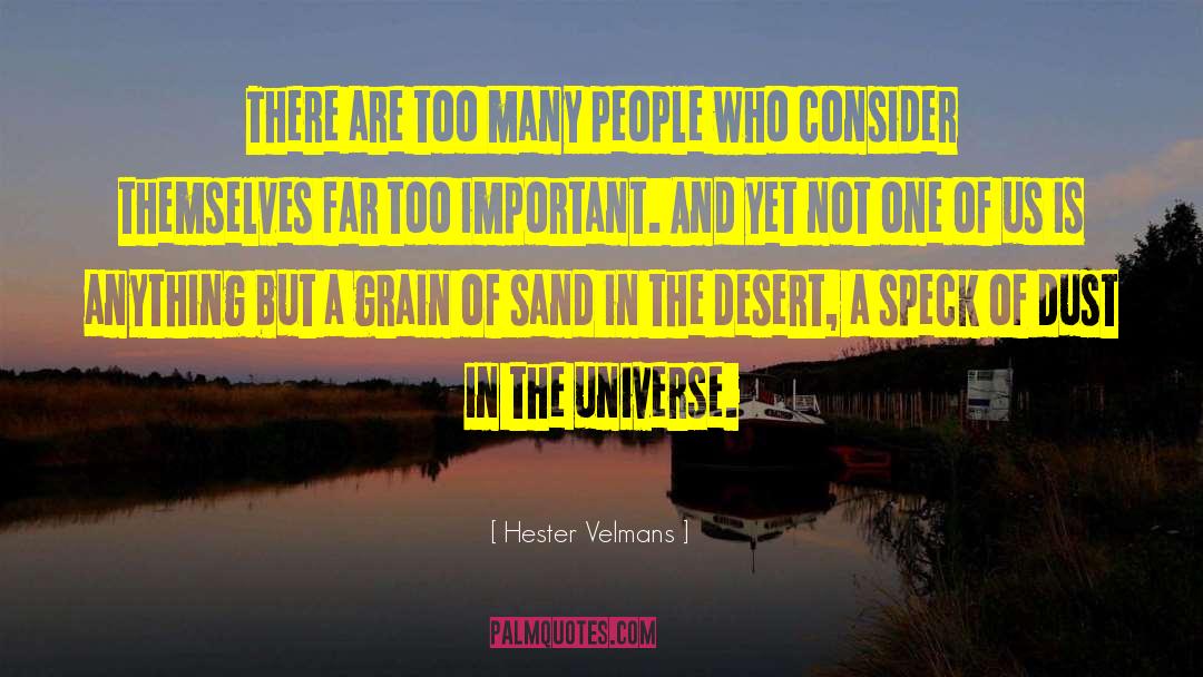 Footprints In The Sand quotes by Hester Velmans