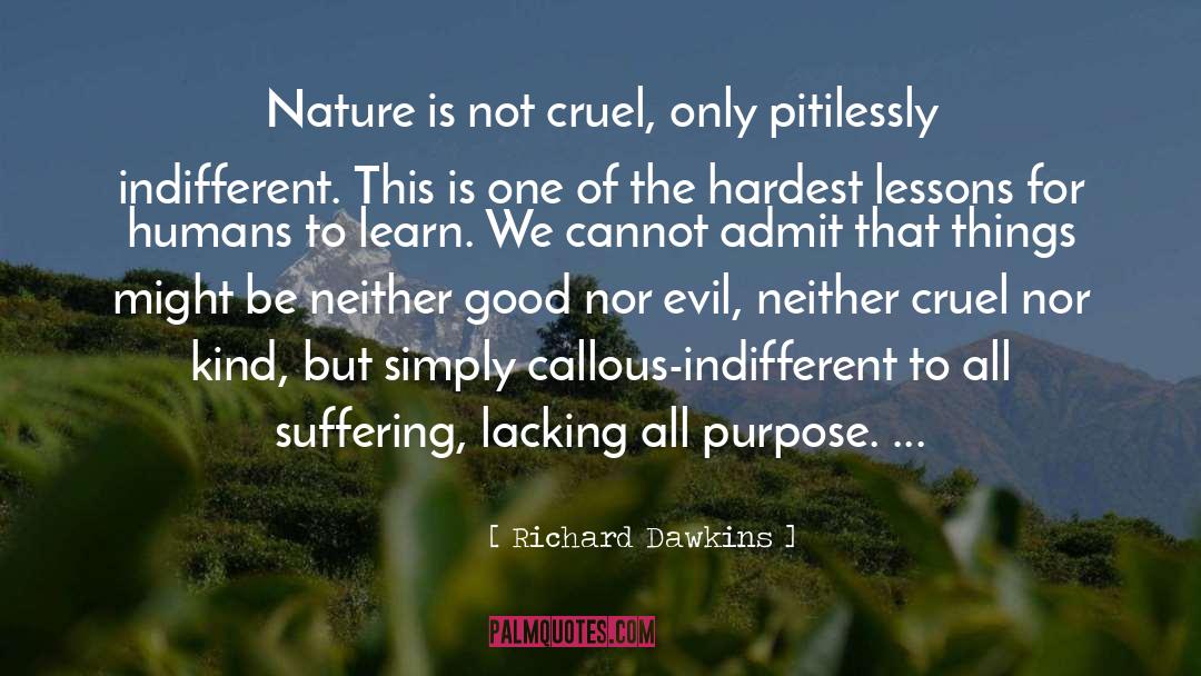 Footprints Lessons quotes by Richard Dawkins