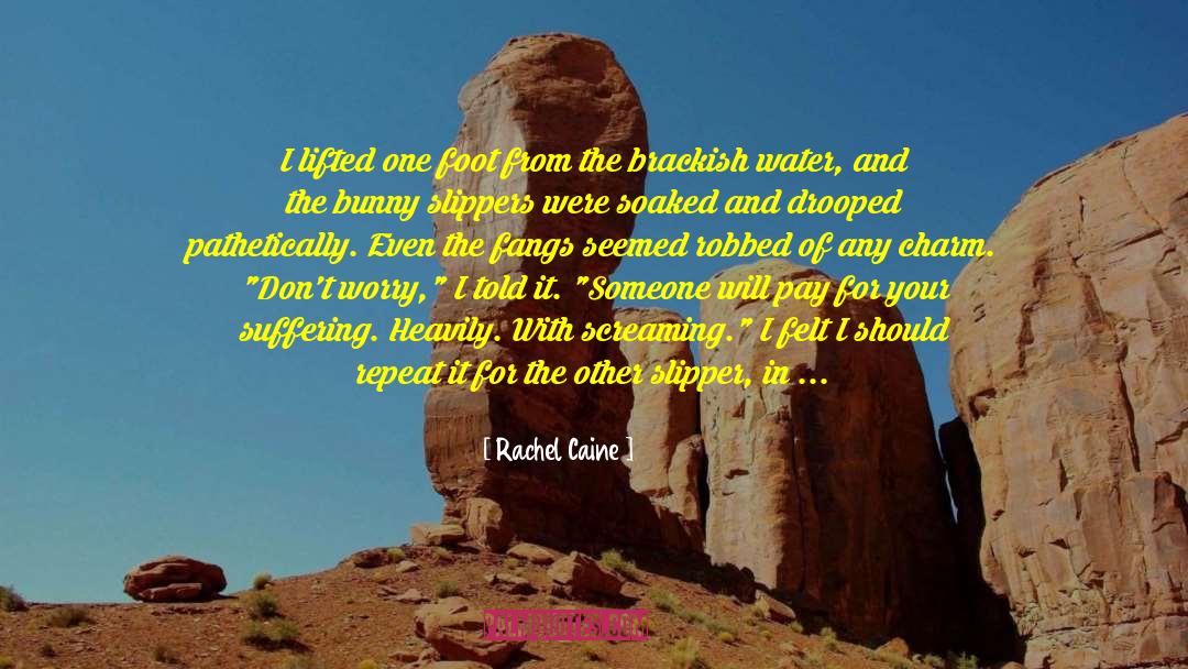 Footwear quotes by Rachel Caine