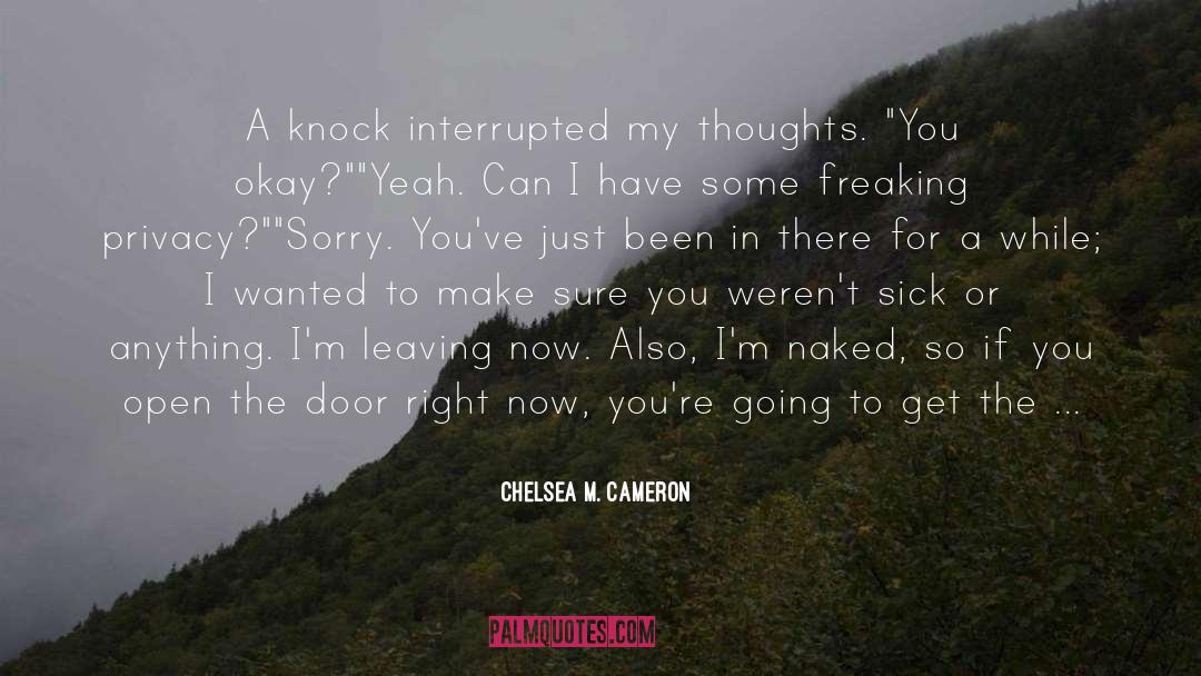 For A While quotes by Chelsea M. Cameron