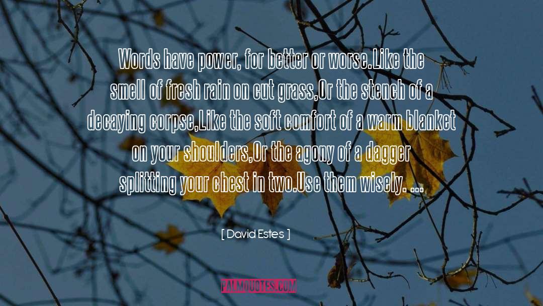 For Better Or Worse quotes by David Estes