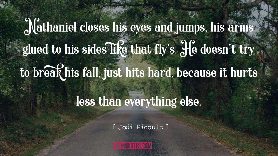 For Nathaniel quotes by Jodi Picoult