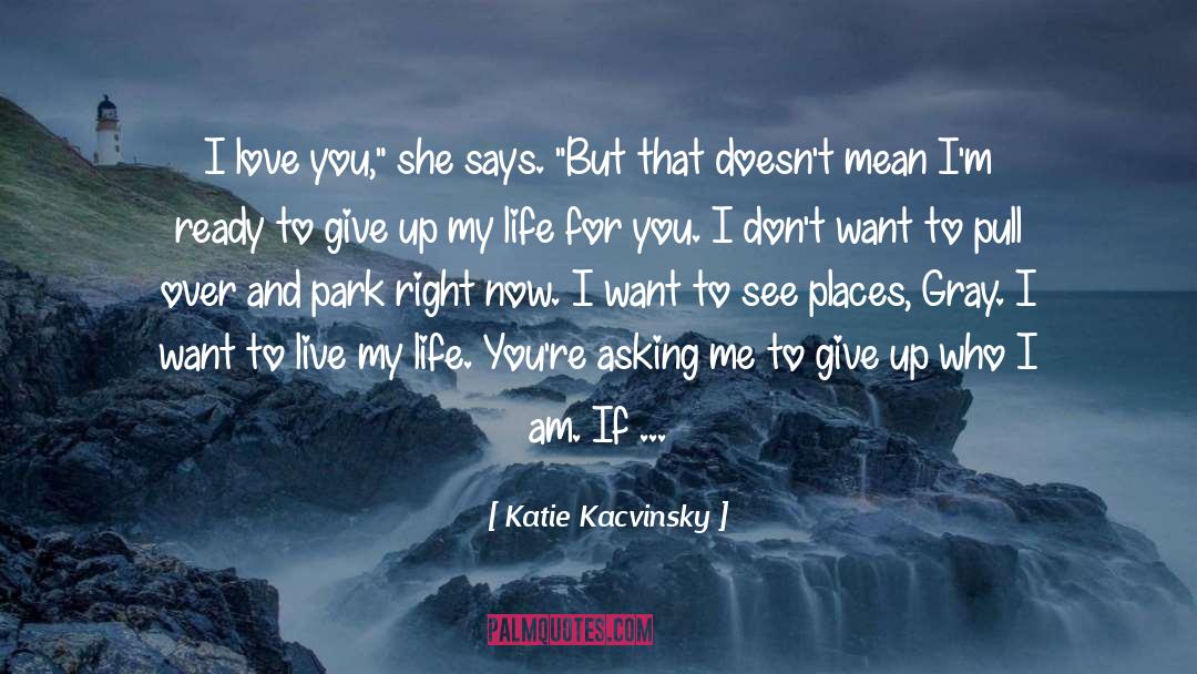 For The Love Of Cake quotes by Katie Kacvinsky