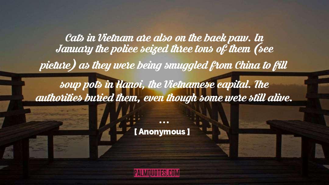 For Vietnam quotes by Anonymous