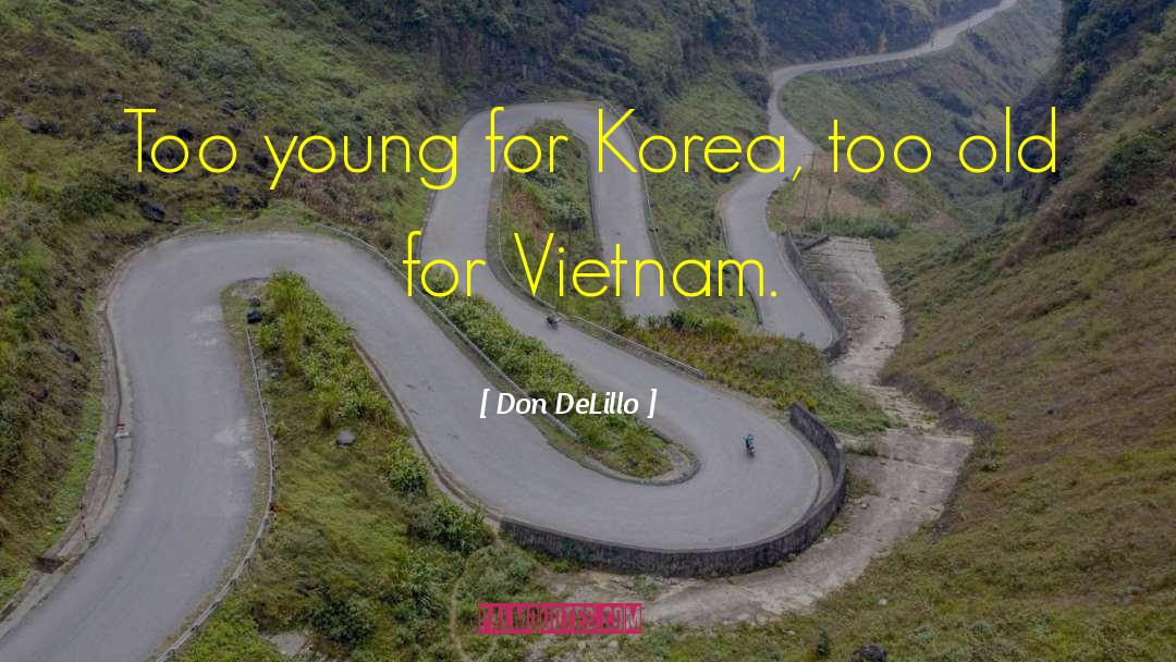 For Vietnam quotes by Don DeLillo