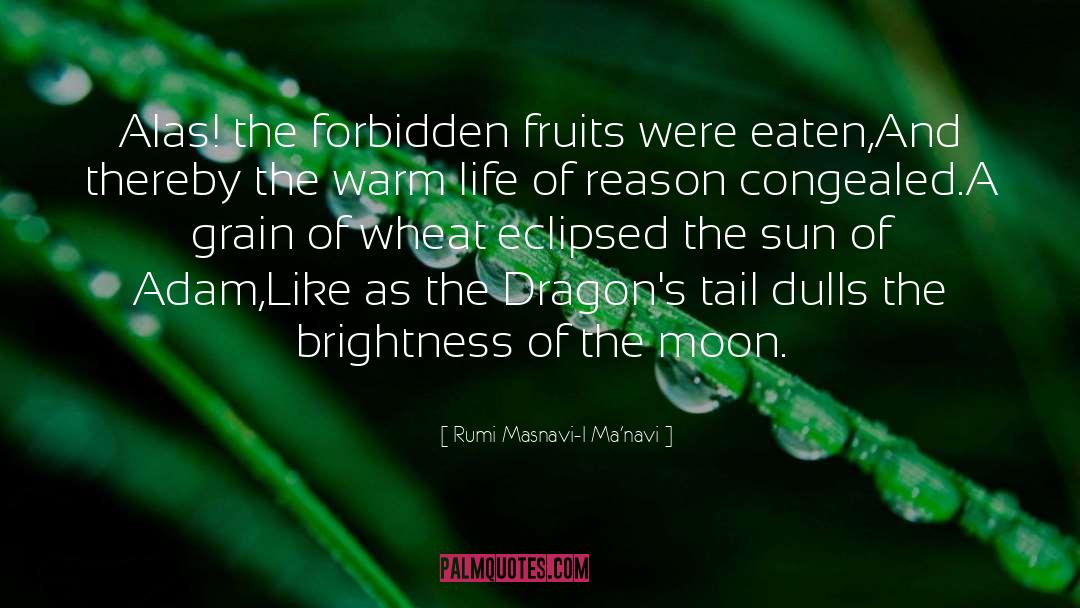 Forbidden Fruit quotes by Rumi Masnavi-I Ma'navi