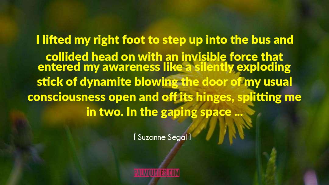 Forcefully quotes by Suzanne Segal
