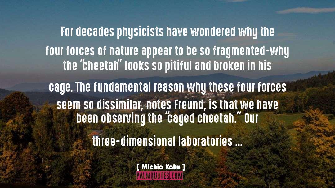 Forces Of Nature quotes by Michio Kaku