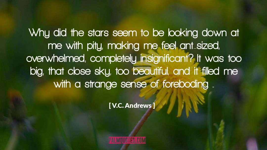 Foreboding quotes by V.C. Andrews