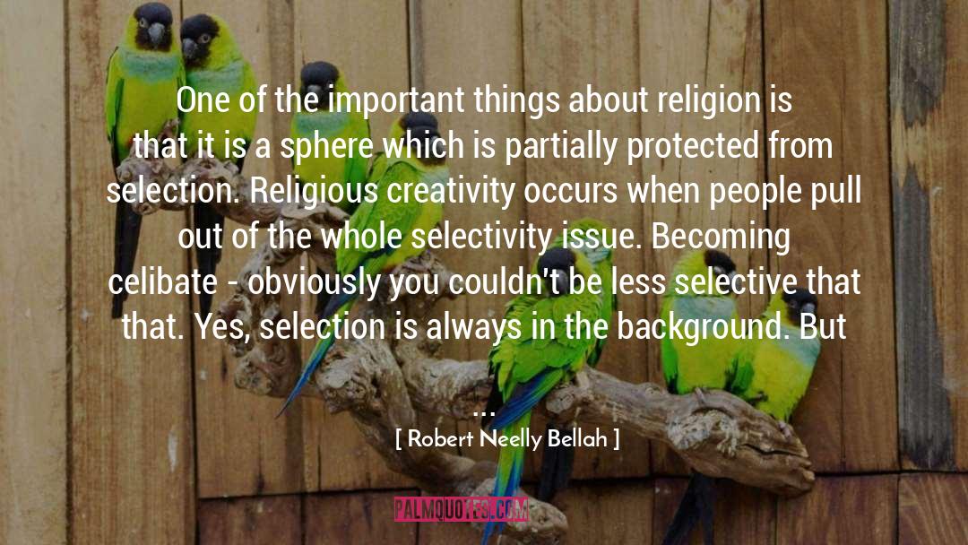 Foreground quotes by Robert Neelly Bellah