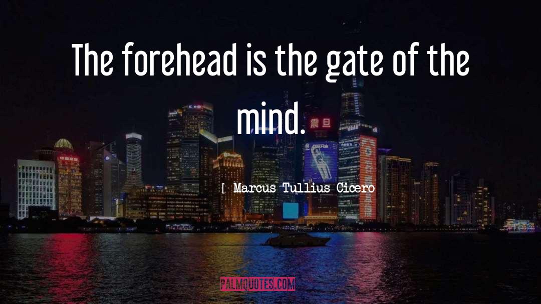 Foreheads quotes by Marcus Tullius Cicero