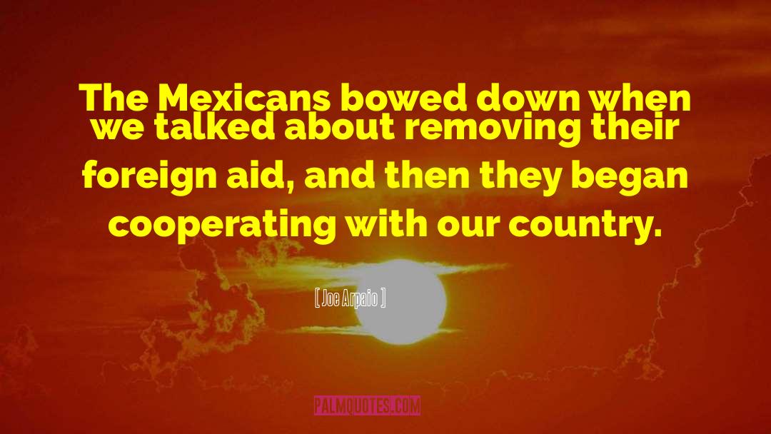 Foreign Aid quotes by Joe Arpaio